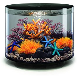 biOrb TUBE 35 LED Aquarium, 35 Liter - Aquarien Komplett-Set mit LED Beleuchtung und patentiertem Filter-System, Acryl-Becken in Schwarz