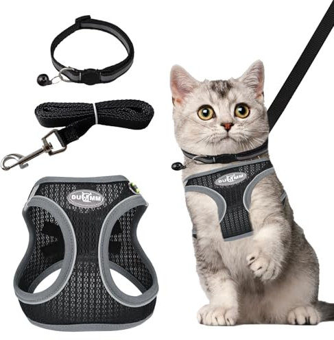 Katzengeschirr Ausbruchsicher,Katzen Geschirr Set mit Leine, Katzengeschirr zum Spazierengehen, Welpengeschirrmit Reflektierend und Atmungsaktiv für Kleine und Mittelgroße Katzen, Schwarz (XXS)