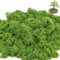 BREANIFULL Fausse Mousse Végétale Decorative 200g Fausse Mousse Végétale Mousse Décorative Florales Plantes artificielles pour Noël et la décoration Murale dans la Maison