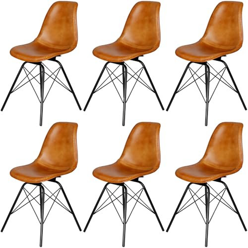 Casa Moro Stühle Esszimmer 6er Set Essstühle Echtleder Stuhl Cognac Lederstühle Sitzschale Metallgestell Wartezimmerstühle Konferenzstühle Modern