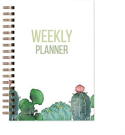 Pianifica i tuoi obiettivi e attività con l'agenda settimanale 2023 2024, diario portatile da 52 settimane (Cactus C)