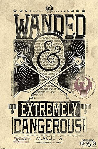 Fantastic Beasts Poster Wanded & Extremely Dangerous (61cm x 91,5cm) + weiÃŸe Geschenkverpackung. Verschenkfertig!
