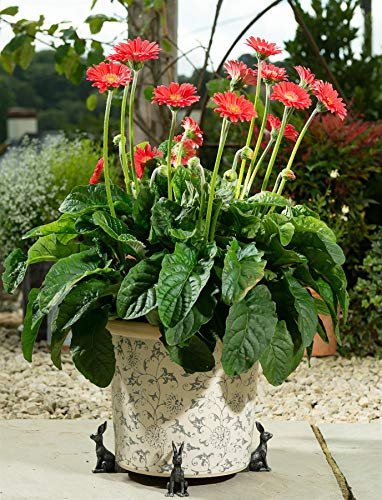 Potty Feet Brushed Silver Figures Hare Plant Pot Feet - Planter Support - Handmade Decorative Ornaments - 3pcs