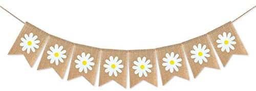 Baby Geburtstag Party Banner, Foto Requisiten (Chujuuu)