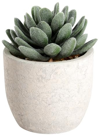 EGLO LIVING Kunstpflanze Chitose, künstliche Zimmerpflanze im Topf, naturgetreue Deko Pflanze für Wohnzimmer, Sukkulente aus Kunststoff in Grün und Paper Pulp, 11 cm