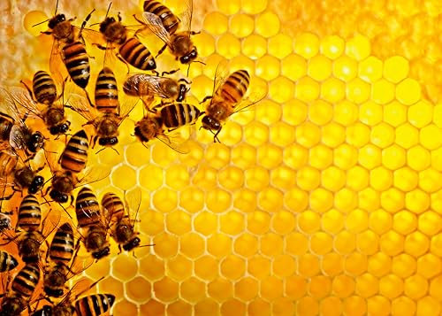 Ravensburger Challenge Puzzle 12000614 Bienen - 1000 Teile Puzzle für Erwachsene und Kinder ab 14 Jahren