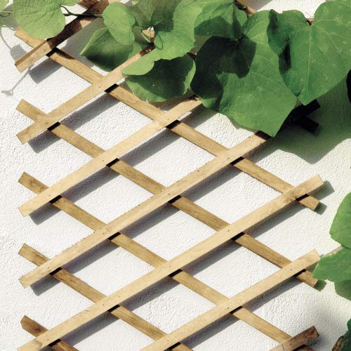 bellissa Scherengitter ausziehbar - Rankgitter Holz-Spalier oder Scherenspalier Rankhilfe im Garten Natur 310 cm x 90 cm