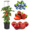 botle Maceta para tomates, 28 L, para tomates, tomates, tomates, tomates, macetas, verduras, lavandería de tomates