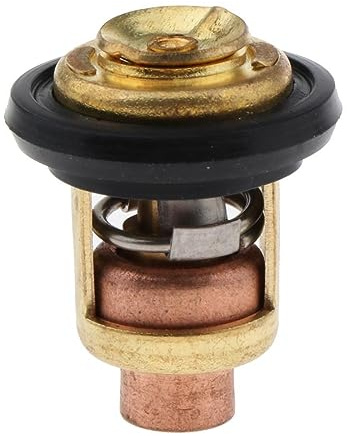 MANGRY Thermostat 60 degrés adapté à la pièce de Rechange du Moteur Suzuki