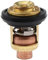 MANGRY Thermostat 60 degrés adapté à la pièce de Rechange du Moteur Suzuki