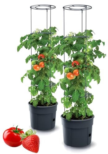 Tymar Tomato Pot with Trellis and Water Reservoir, Pack of 2, Diameter 30 cm, Outdoor/Indoor, Self Watering