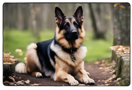 WZYWHJ Rutschfeste Bodenmatte aus Ahorn, Motiv: Deutscher Schäferhund, 183 x 122 cm, für Wohnzimmer, Büro, Couchtisch, Bett, Balkon