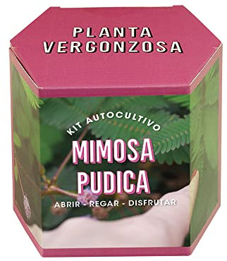 Resetea | Kit autocultivo | Mimosa pudica
