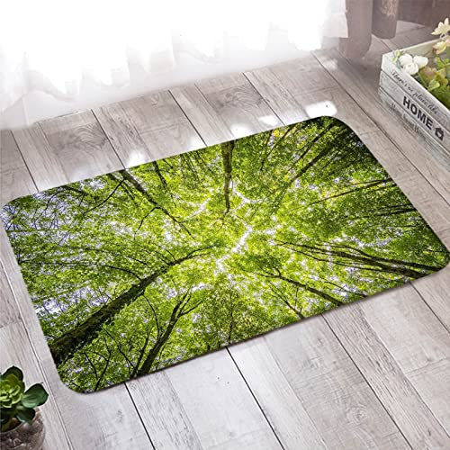 Fußmatte Außen, Kleiner Teppich 50X80cm Grün Bäume Willkommen Matten für Badezimmer Küche