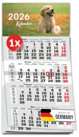 PRIMUS PRINT 4-Monats Einblockkalender 2026 mit Schieber - Wandkalender zum Aufhängen - großer Monatskalender- inklusive Feiertagen - verschiedene Motive, verschiedene Sets [ 1x Hundebaby ]