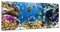 DekoGlas Glasbild 'Korallenriff' Echtglas Bild Küche, Wandbild Flur Bilder Wohnzimmer Wanddeko, einteilig 125x50 cm