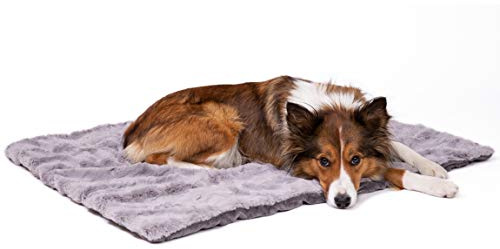 CopcoPet Hundedecke Cheyenne 100 x 80cm, Grau, waschbare Fleecedecke Hund, dicht gewebte Tierdecke, kuscheliger Schlafplatz für Hunde & Katzen
