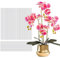 Tefola Pflanzenstützstäbe, Acryl-Pflanzstäbe, transparent, für Zimmerpflanzen, Gartenblumen, für Orchideen, Erbsen, Gemüse, 30 Stück