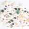 Fangoo 1500 Stück Mini Gemischte Muscheln Seestern Gemischte Natürliche Strandmuscheln Achatstein für Handwerk DIY Craft Thema Party Dekor Hoch Zeit Dekor Fischbecken und Vasenfüller