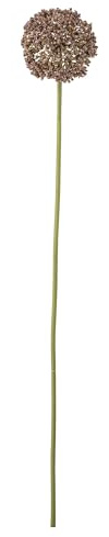 Bloomingville Allium Stiel, Braun, Künstliche Blumen, T9xH70 cm