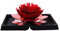 AmyGline Ringschachtel 3D Pop Up Rose Ring Box Rose Blume Verlobungsring Box Ring Bearer Box zum Valentinstag Ring Geschenkboxen Geschenk-Verpackung Schmuckschatulle Schmuckkästchen (schwarz)