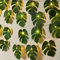 Monstera Lot de 2 guirlandes lumineuses à 20 LED tropicales artificielles en rotin à suspendre au mur, décoration d'été pour extérieur et intérieur, fête hawaïenne, thème jungle, plage, décorations de