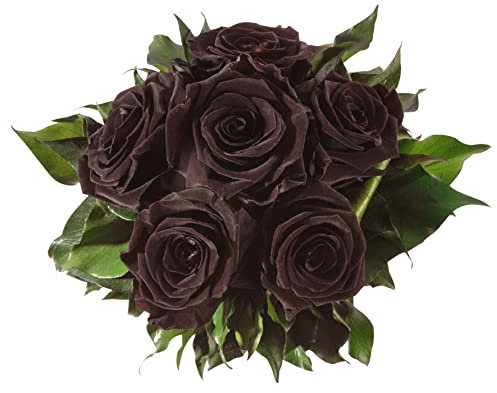 Infinity Blumenstrauß echte konservierte Rosen Lange haltbar bis zu 3 Jahre (6 Rosen, Schwarz)