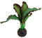 AB Tools Aquatic Aquarium Fish Tank Self Sinking Small Silk Plant Height 13cm (No 3)