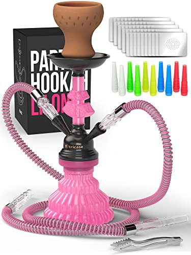 Cachimba Shisha - Shisha Cachimba completa 2 Tubos- 30 cm Mini Cachimba 2 Tubos Cachimba Set con 50x láminas, cazoleta cachimba 10x puntas 2x boquilla 2x tubo hookah boquillas portátil (Rosa)