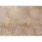 murando Fotomurales autoadhesivos Hojas 98x70 cm Papel Pintado coración Pared Murales Pegatina corativos adhesivos 3d Fotográfico Naturaleza botánica Palmera hoya b-C-10105-a-a