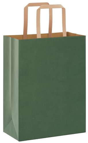 vidaXL Papiertragetaschen 50 Stk., Papiertüten mit Henkeln, Kraftpapiertüten, Geschenktüten für Einkaufen Hochzeiten Verpackungen Partys Geburtstag Weihnachten, Grün 21x11x28cm