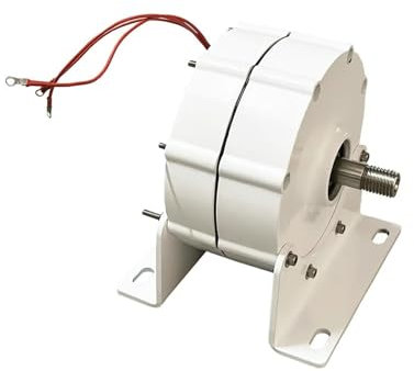 OUHFCASN Generatore Eolico da 2000 W 12 V 24 V 48 V Tore idroelettrico a turbina Magnetica a Basso Numero di Giri Baja velocidad inicial para El hogar(with Base,Double Shaft_24V)