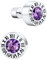 Supcare Silber Ohrringe Herren Ohrstecker Männer Damen Amethyst Ohrringe mit Römischen Ziffern Geburtsstein Ohrring Creolen Cubic Zirconia Stud Earring Mens Rock Ohr Piercing Ohr Schmuck für Karneval