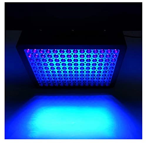 Lackhärtungslampe, 3000 W, großflächige UV-Kolloid-Härtungslampe, schattenlose Lampe, ultraviolettes Licht, schattenloser Kleber, Tinte, Farbe, Harzfilm, 3D-Druck (Größe: 1, Farbe: 395 nm)