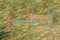 Wuzzmann 2 X Agility-ÜBUNGS-HÜRDEN-Set IN BLAU/ROT/Hobby Horse/Fun Horse