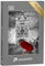 puzzleYOU: Puzzle 500 Teile „Roter Regenschirm auf der Tower Bridge in London, schwarz-weiß“ – aus der Puzzle-Kollektion Tower Bridge