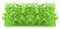 Grasmatte Katze, Grasmatte Silikon Katze, Cat Grass Mat Silicone, Gras Matte Katzen, Interaktive Schnüffelmatten für Hunde und Katzen, Futterspiel für das Training der Nase (1)