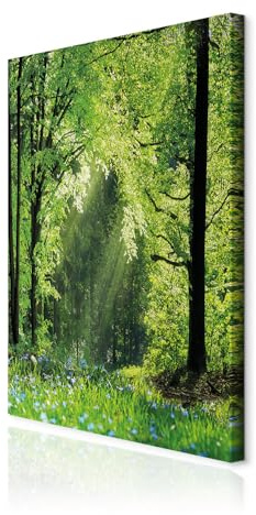 decomonkey Wandbilder Wald 40x60 cm 1 Teilig Leinwandbilder Kunstdruck Baum