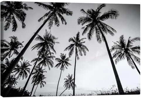 Posterlounge Sous les palmiers Tableau sur toile 30 x 20 cm Noir et blanc Photographie en noir et blanc Décoration murale