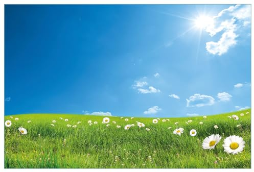 Wallario Küchenrückwand selbstklebend 90 x 60 cm, Motiv: Sommerwiese - Weiße Gänseblümchen vor blauem Himmel | Spritzschutz abwischbar & pflegeleicht