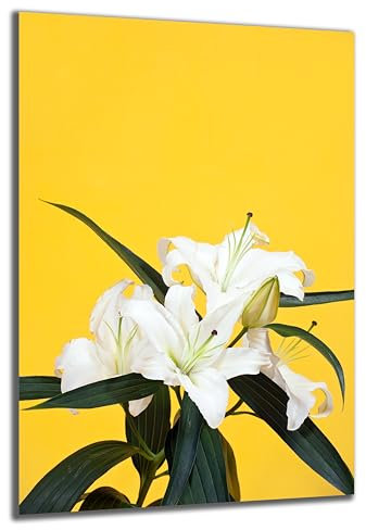 DARO Design - Wand-Bild auf 6mm HDF 84x56 cm Weiße Lilie Gelb - Wand-Deko Bilder Geschenk