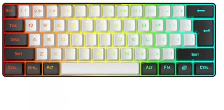 Plyisty Clavier de Jeu 60%, Rétro-éclairage Rvb, Clavier Filaire USB Compact à 61 Touches, Mini Clavier de Voyage Filaire pour Bureau, pour PC, Mac, Joueurs (Blanc et Noir)