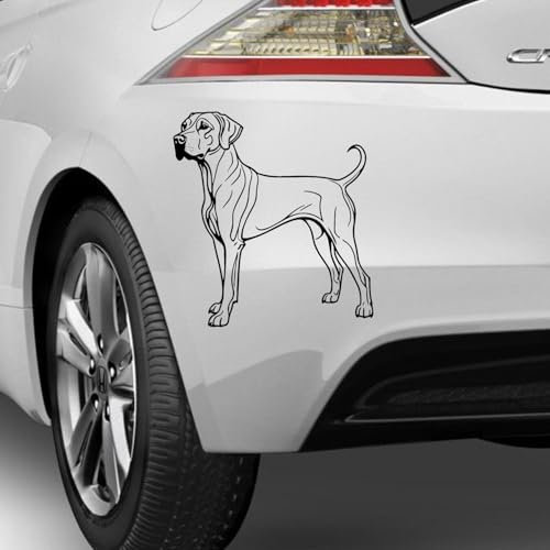 Rhodesian Ridgeback typ 2 Aufkleber Sticker Hunde Hunde Dog Personalisierbar Name,Text,Größe Wunschtext Auto Autoaufkleber Wandtattoo