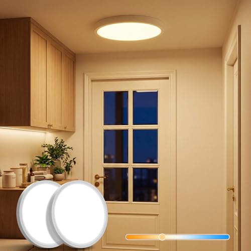 LuminexDesigns 2ER LED Deckenleuchte Flach 22cm, 18W Klein Deckenlampe Farbtemperatur 2700K-6500K per DIP-Schalter, Rund Wasserdicht IP44 Badlampe für Flur Eingang Badezimmer Küche Balkon OVIA LA18