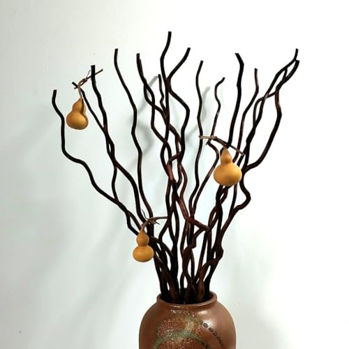 Lot de 14 à 15 branches de saule séchées et bouclées, 58,4 cm, branches décoratives avec 3 mini gourdes pour loisirs créatifs, vases de mariage, décoration d'intérieur, marron