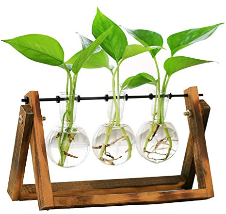 YXSH Terrarium Kreative Hydroponische Pflanze Transparente Vase Holzrahmen Vase Decoratio Glas Tischplatte Pflanze Bonsai Dekor Blumenvase