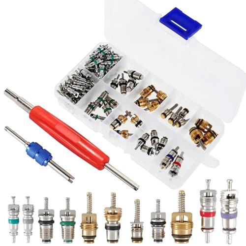 100 Pièces Valve Pneu R134A A/C avec 2 Dissolvant Double Tête, 1 Boîte Rangement, Kit Outils Noyaux Valve Clim Réfrigération Voiture pour Vélo, Moto, Climatisation Réparer Remplacement et Entretien