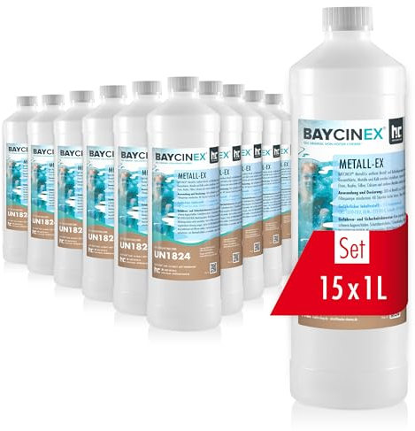 Höfer Chemie 15 x 1 L Metall-Ex für Pools handlichen 1 L Flasche