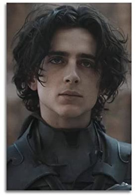 VZRSQZK Schauspieler Timothée Chalamet Poster, dekoratives Gemälde, Leinwand, Wandposter und Kunstdruck, modernes Familienschlafzimmer-Dekor-Poster, 20 x 30 cm