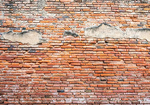 wandmotiv24 Fototapete alte Ziegelwand Backstein, XL 350 x 245 cm - 7 Teile, Wanddeko, Wandbild, Wandtapete, Stein Steine Ziegel Beton M6705